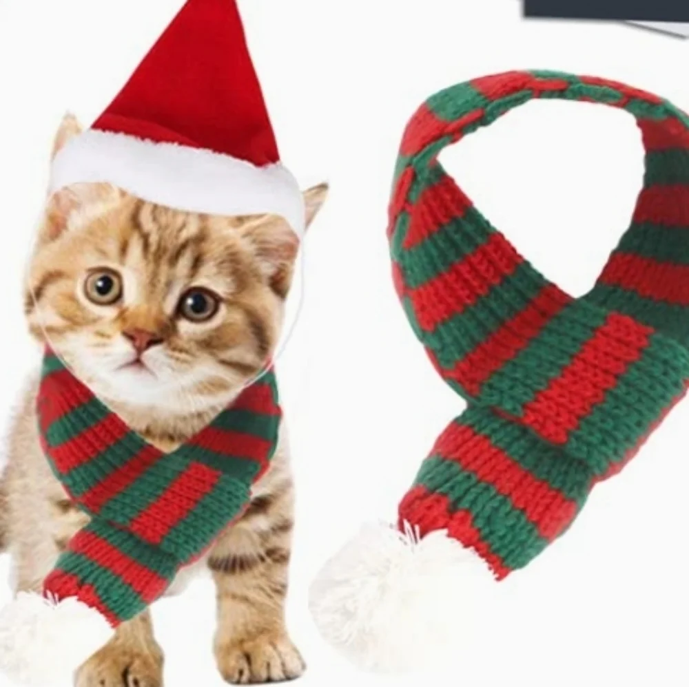 Cat Santa Hat with Red and Green Striped Scarf with a Pom Pom Size S